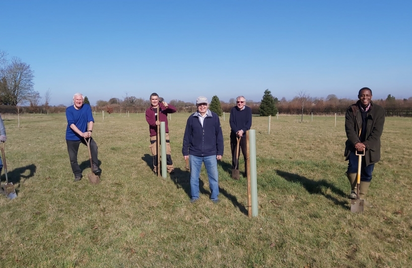 Tree Planting