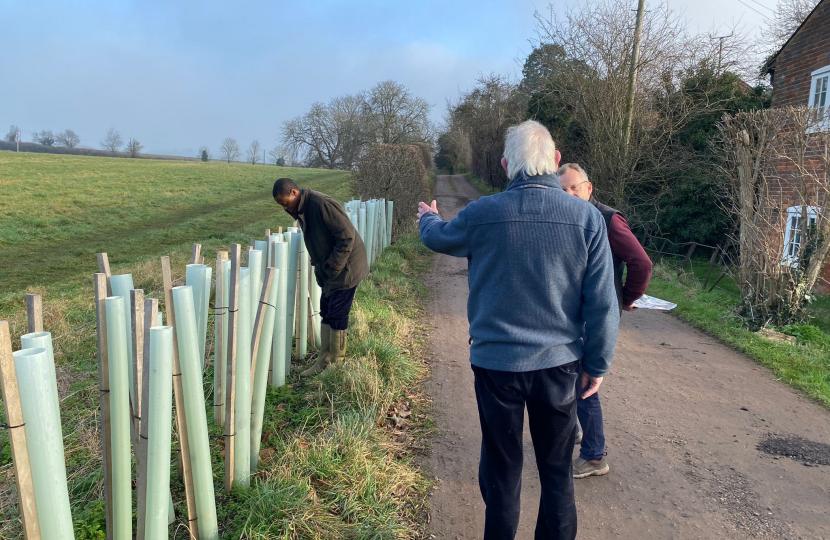 Bim with trees planted in Kimpton