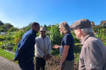 Bim at the allotments