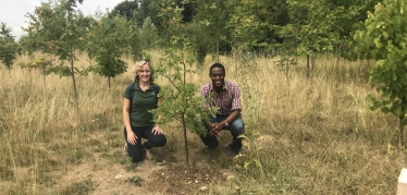 Heartwood Forest