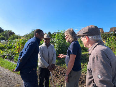 Bim at the allotments